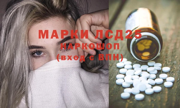 бошки Тавда
