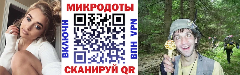 Псилоцибиновые грибы мицелий  гидра ССЫЛКА  Ефремов 